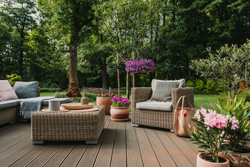 Eté 2024 : tendances et conseils jardin