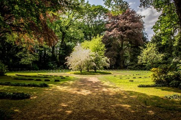  Aménagement d'un Jardin dans un Espace Restreint